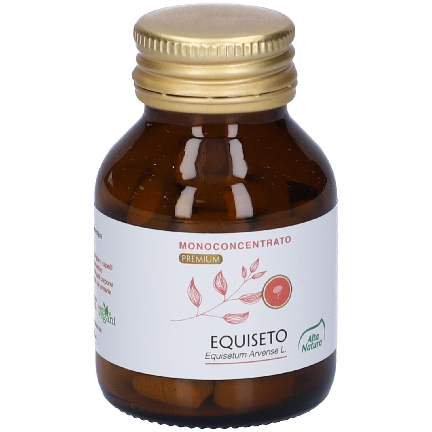 Flacone di vetro marrone con tappo dorato ed etichetta bianca. L'etichetta riporta 'EQUISETO'.