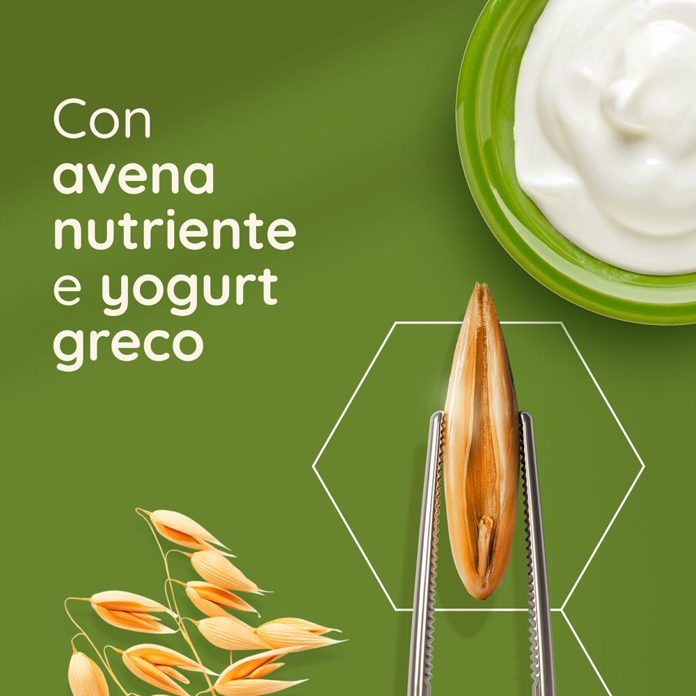 Chicco d'avena in pinzetta. Ciotola di yogurt. Testo: Con avena nutriente e yogurt greco.