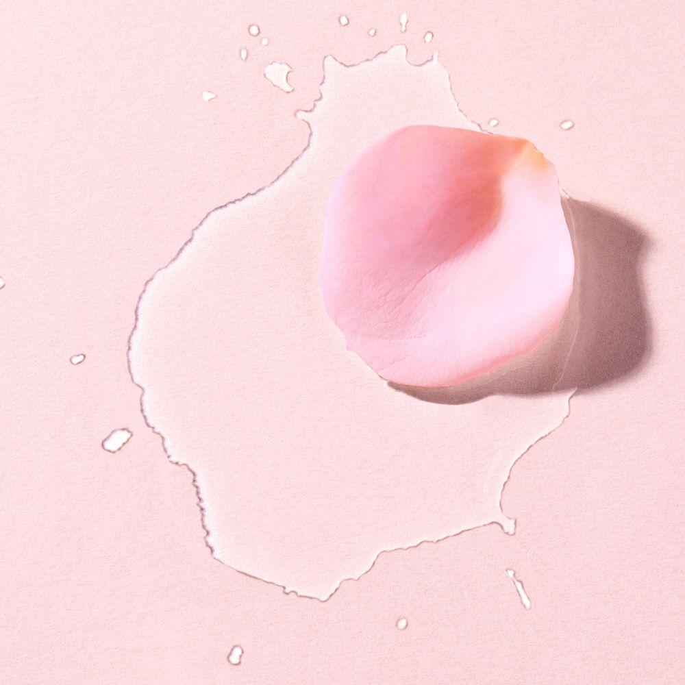 Rosa Rosenblütenblatt auf rosa Flüssigkeit. Auf rosa Hintergrund.