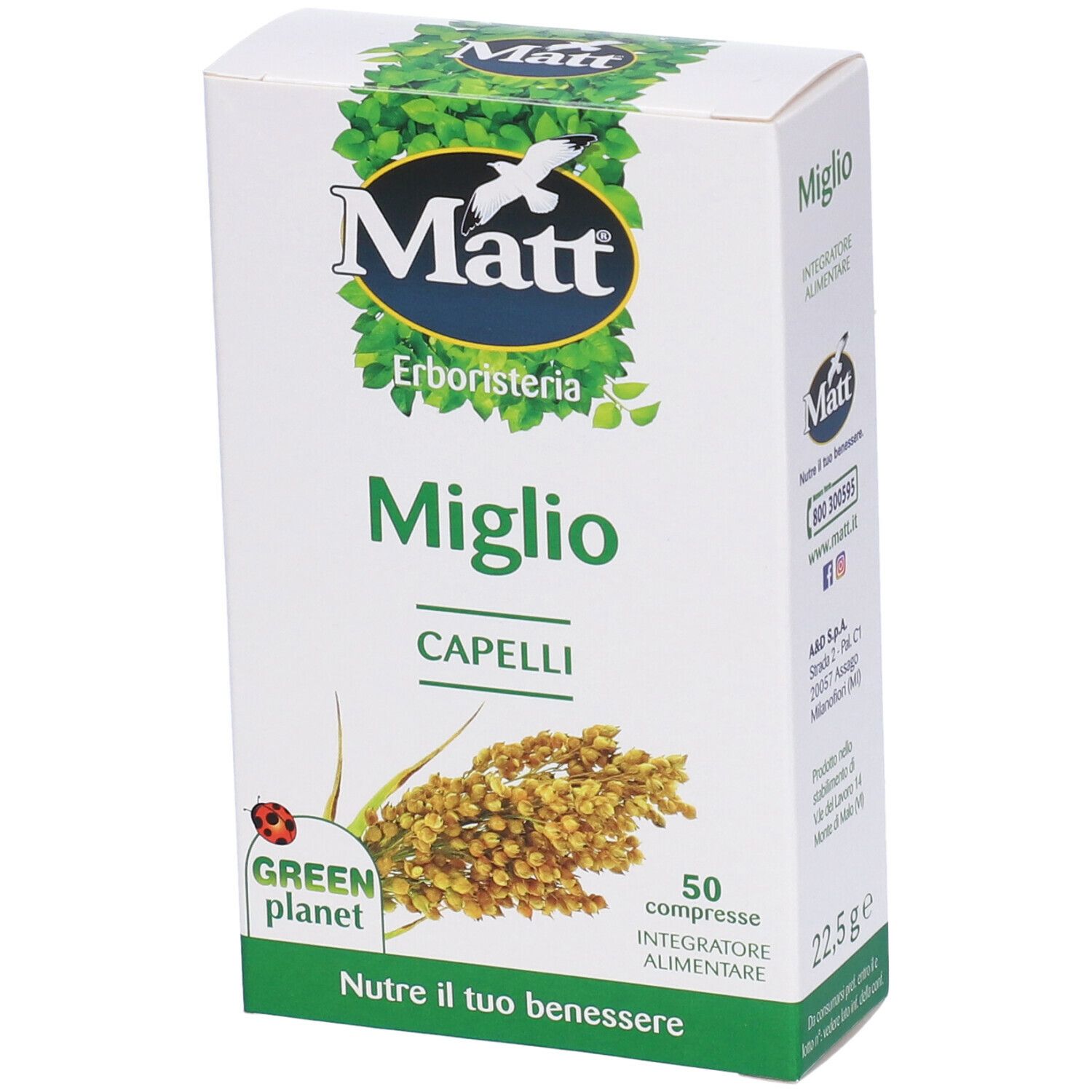 Image of MATT Miglio