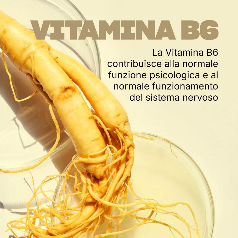 Ginsengwurzel, Quelle für Vitamin B6, unterstützt psychische Funktion und Nervensystem.