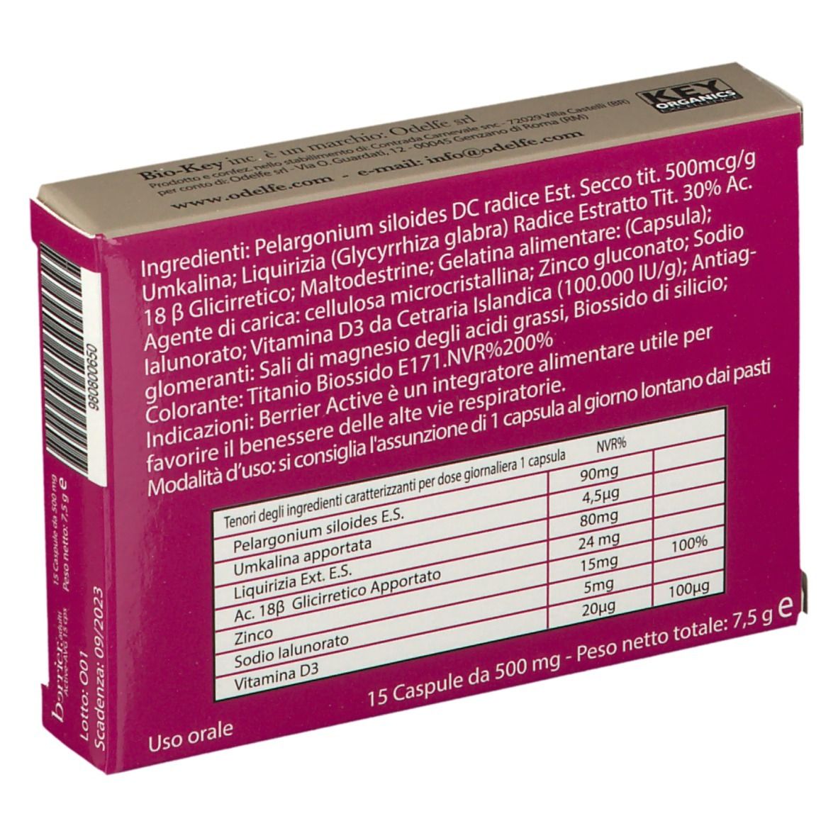 Retro scatola "berrier.adulti Active-AVG". Ingredienti e tabella nutrizionale. Logo "bio key".
