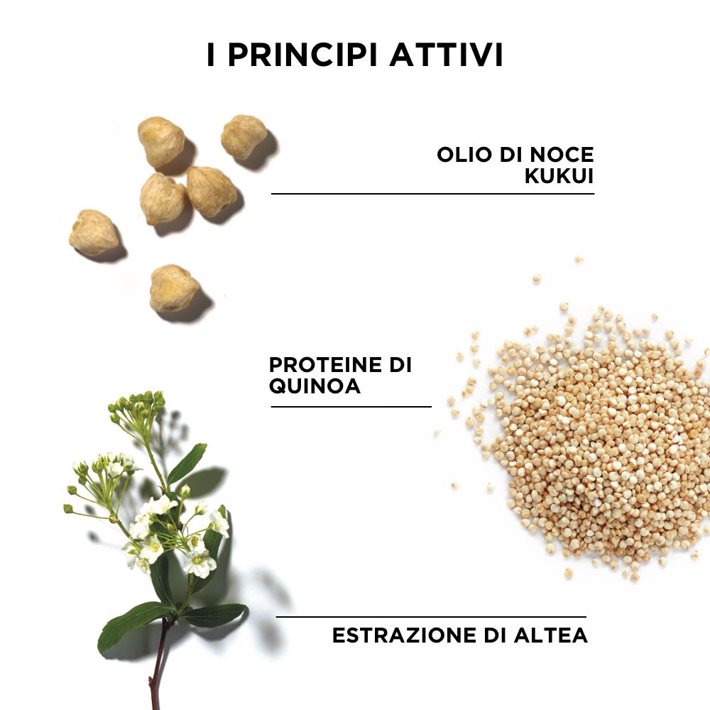 Ingrédients: Huile de noix de Kukui, protéines de quinoa, extrait de guimauve.