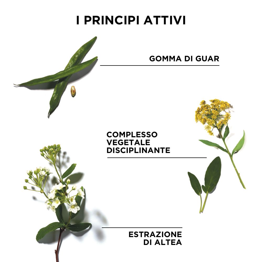 Grafik mit Pflanzen und Text: I PRINCIPI ATTIVI. Enthält Guar-Gummi, Pflanzenkomplex, Altea-Extrakt.