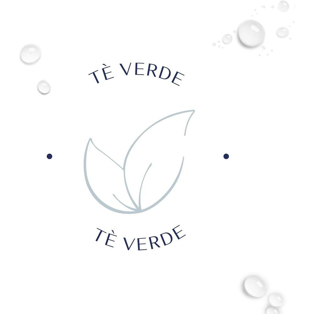 Logo mit zwei grünen Blättern und der Aufschrift „Tè Verde“.