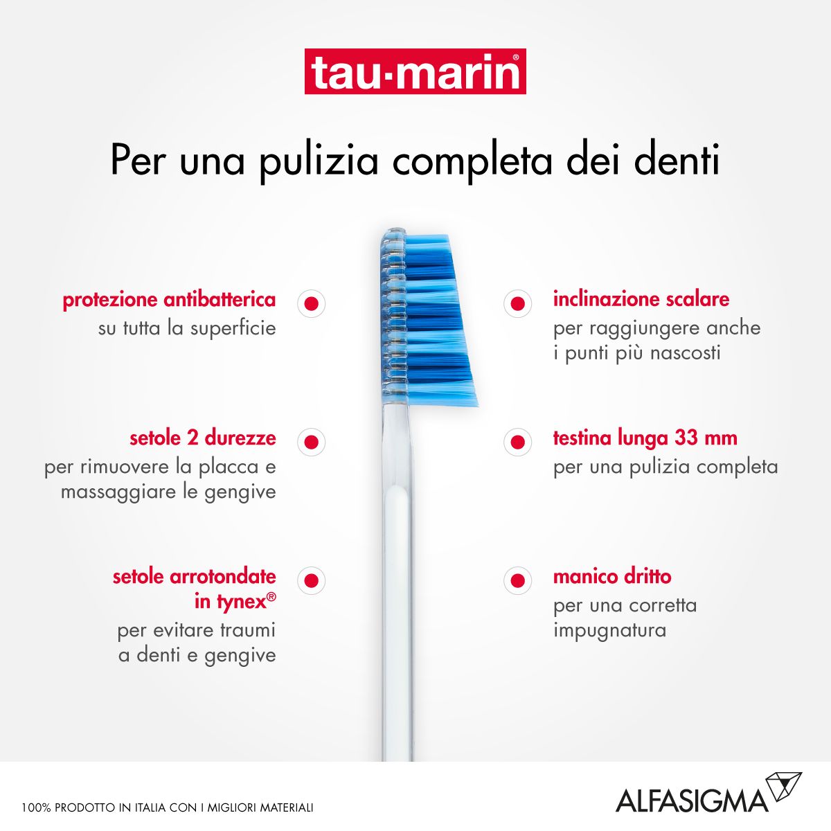 Testina spazzolino Tau Marin Scalare 33, setole blu, manico trasparente, testo.