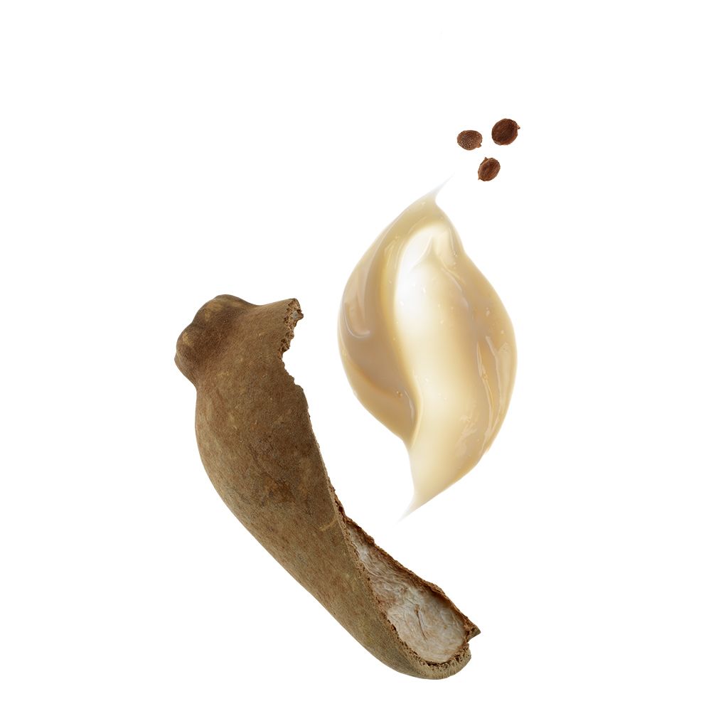 Primo piano di frutto di cupuaçu, foglie e spirale di crema. Su sfondo bianco.