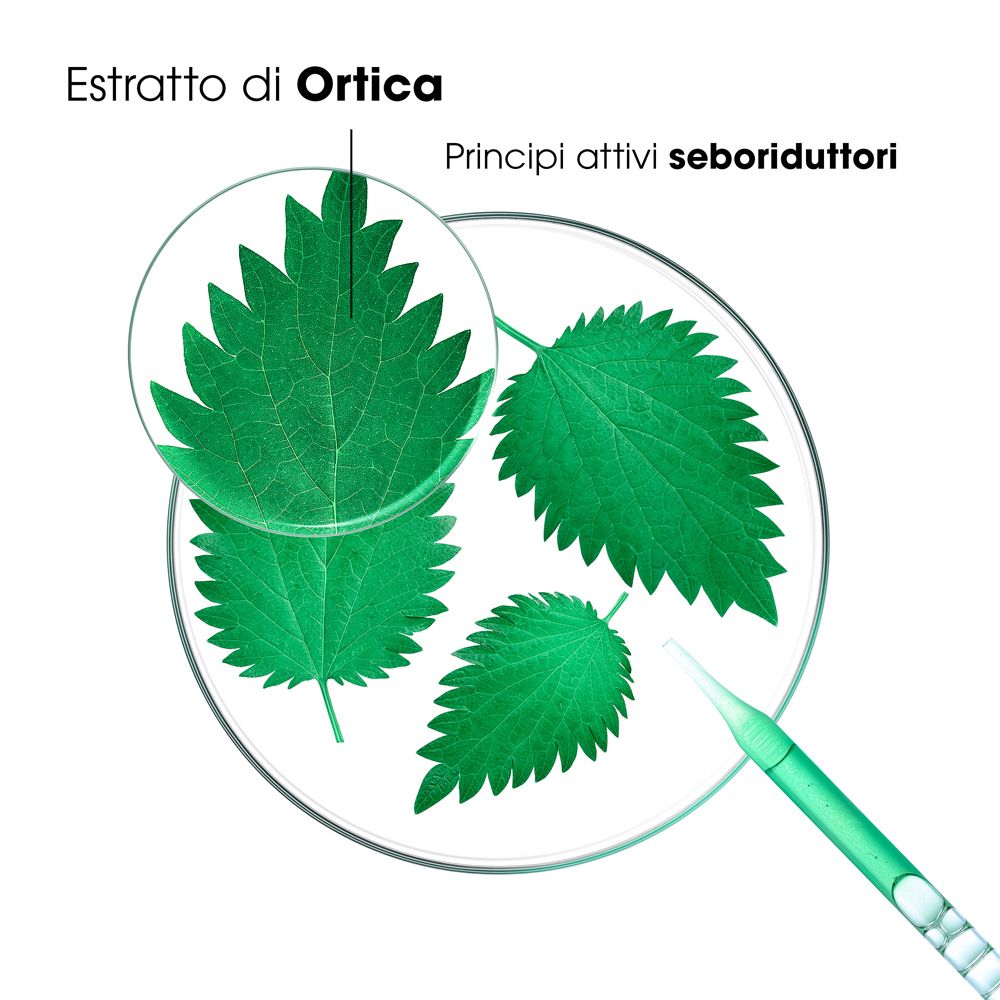 Nahaufnahme von Brennnesselblättern in einer Petrischale. Beschriftung: Estratto di Ortica, Principi attivi seboriduttori.
