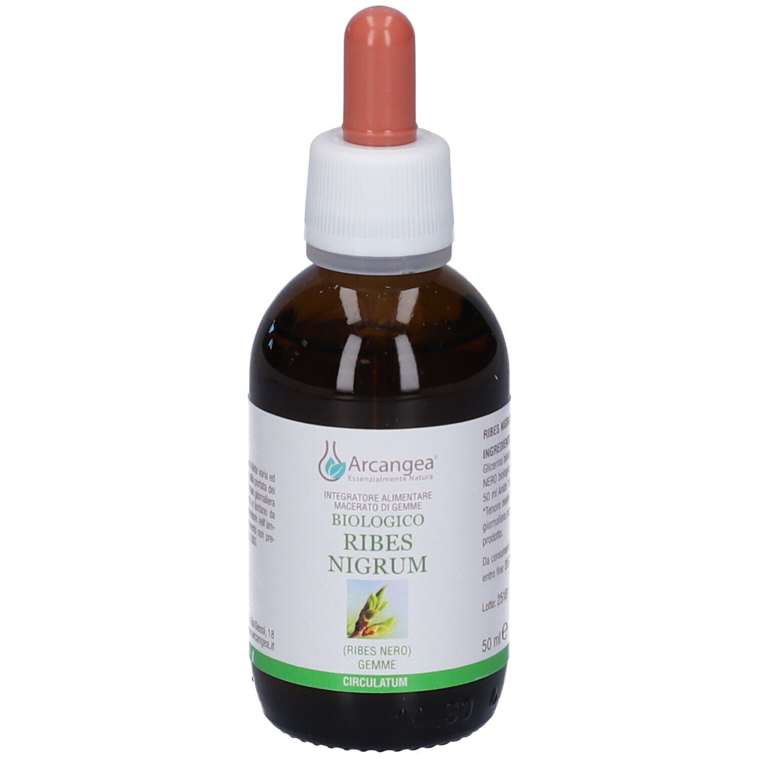 Ribes Nigrum 33% Bio 50 Ml Gemmoderivato