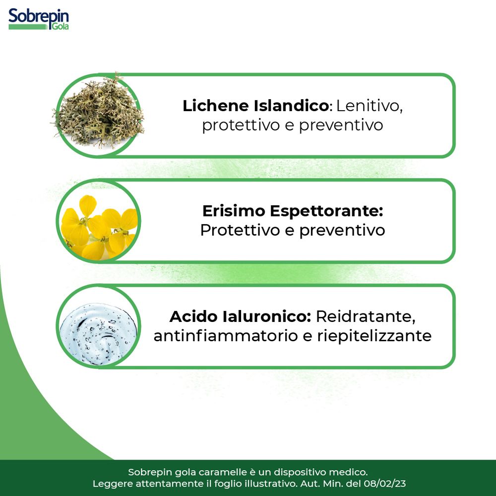 Infografica con ingredienti. Ingredienti: lichene islandico, erisimo, acido ialuronico. Effetti: lenitivo, protettivo, reidratante.