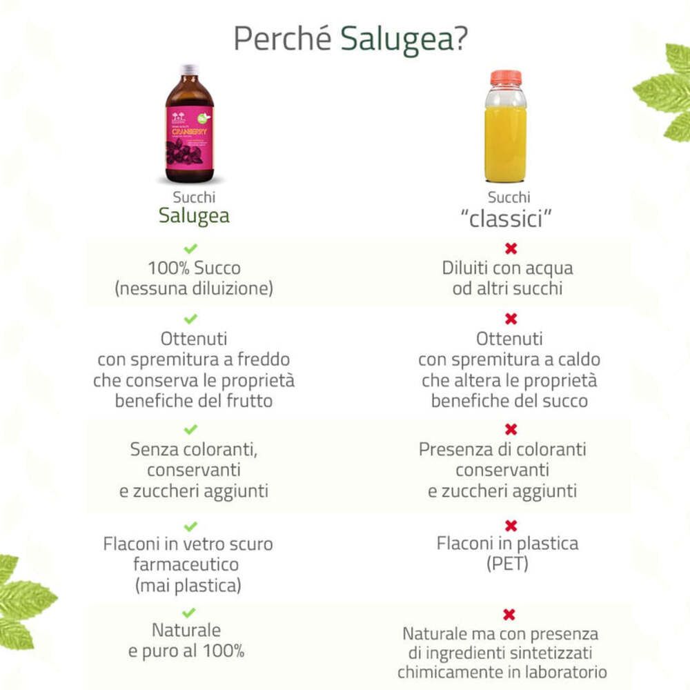 Vergleich von Cranberry-Saft. Links: 100% Saft, kaltgepresst, ohne Zucker. Rechts: Saft mit Wasser, heißgepresst, mit Zucker.
