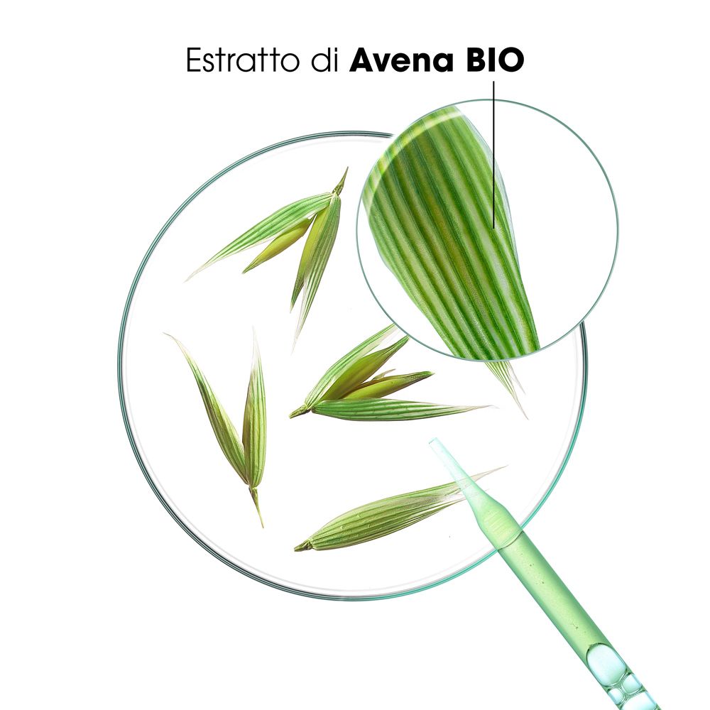 Primo piano dell'estratto di Avena BIO. Foglie verdi in una piastra di vetro.
