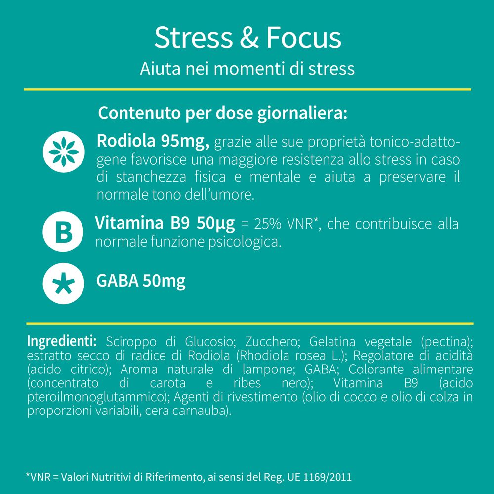Testo su VALDISPERT® Stress & Focus. Contiene Rodiola, Vitamina B9 e GABA. Ingredienti e informazioni nutrizionali.