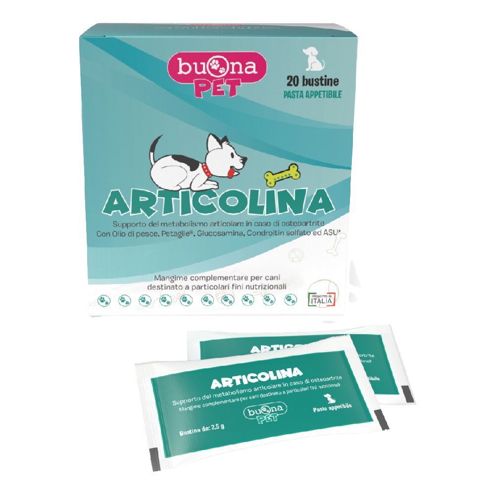 Articolina 20Bust Buona PET 20 St Beutel