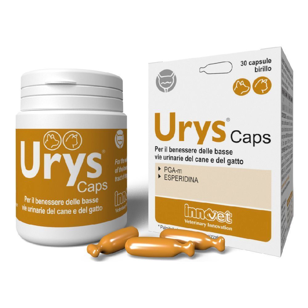 Urys Caps-Kapseln und Verpackung. Weiße Flasche und Schachtel mit braunen Etiketten. Enthält Kapseln.