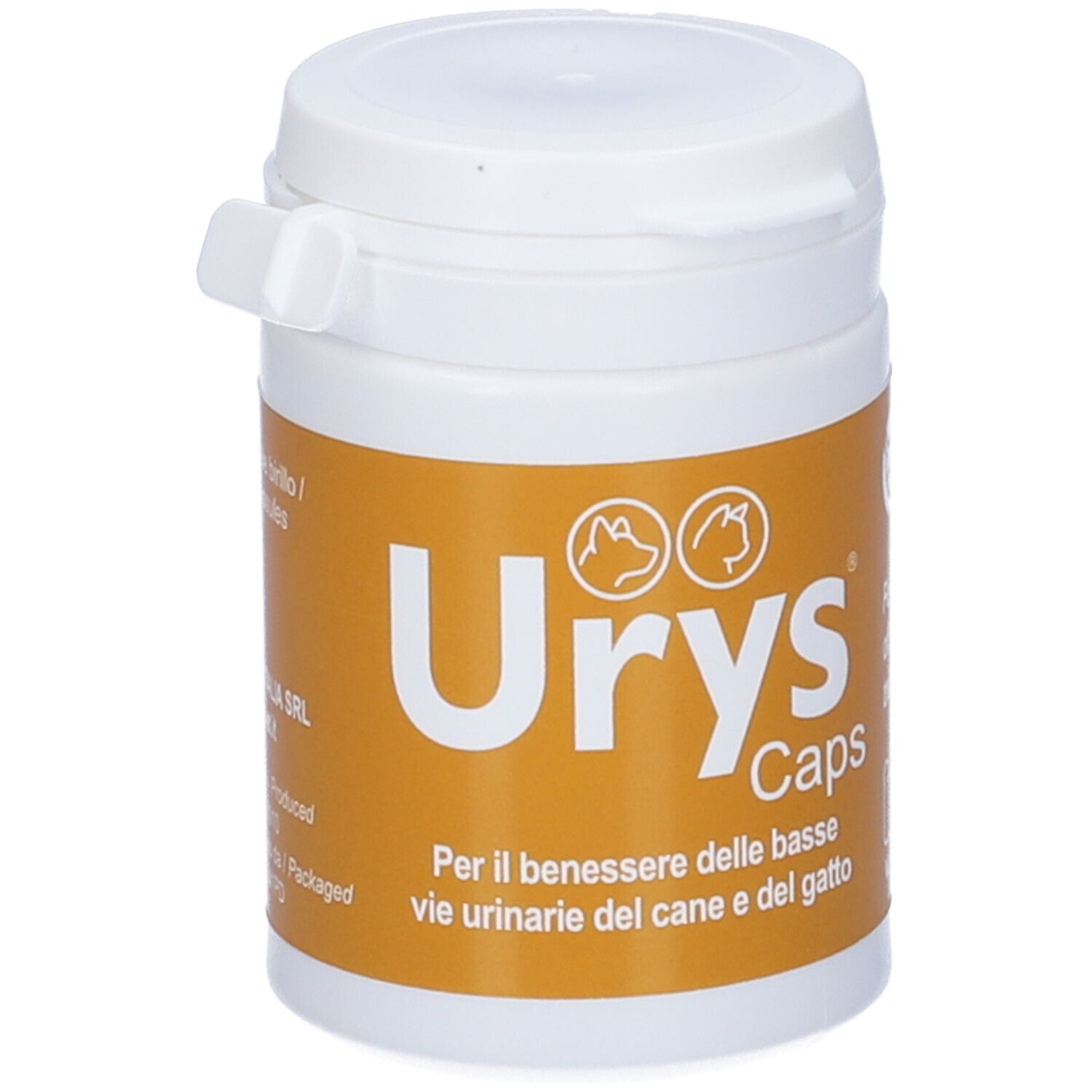 Urys Caps-Flasche. Weiße Flasche mit braunem Etikett. Aufschrift Urys Caps und Logo.