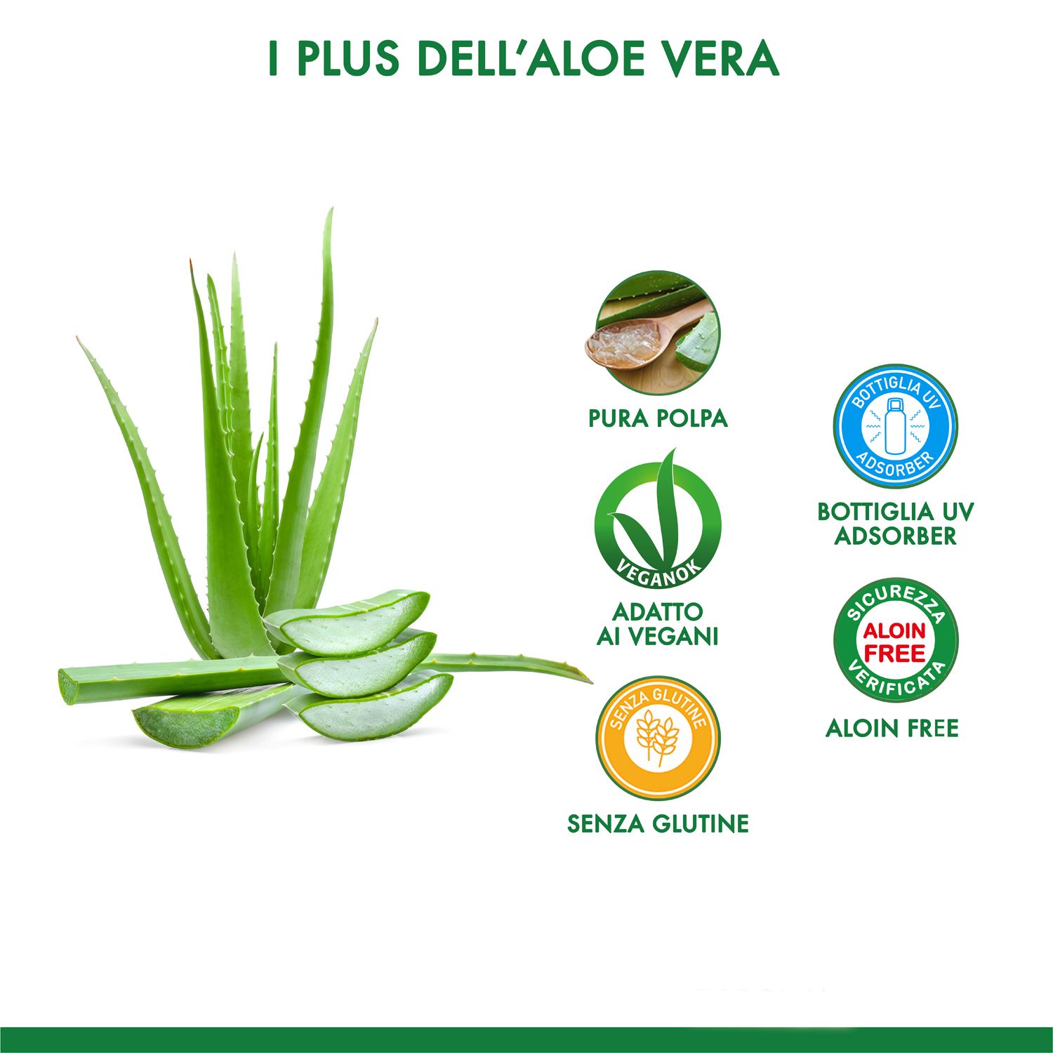 Foglie e fette di Aloe Vera. Loghi: Vegano, Senza glutine, Protezione UV, Senza aloina.