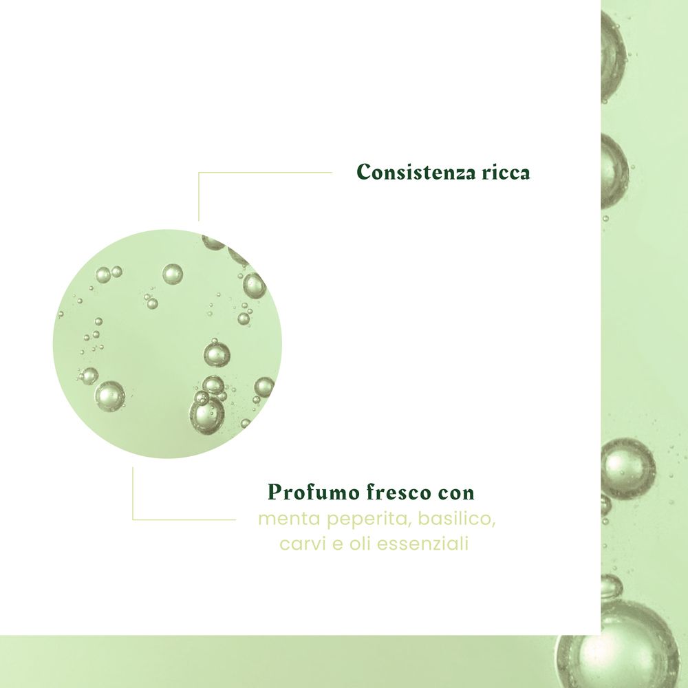 Primo piano di bolle di liquido verde. Testo: Consistenza ricca, profumo fresco con menta, basilico, cumino.