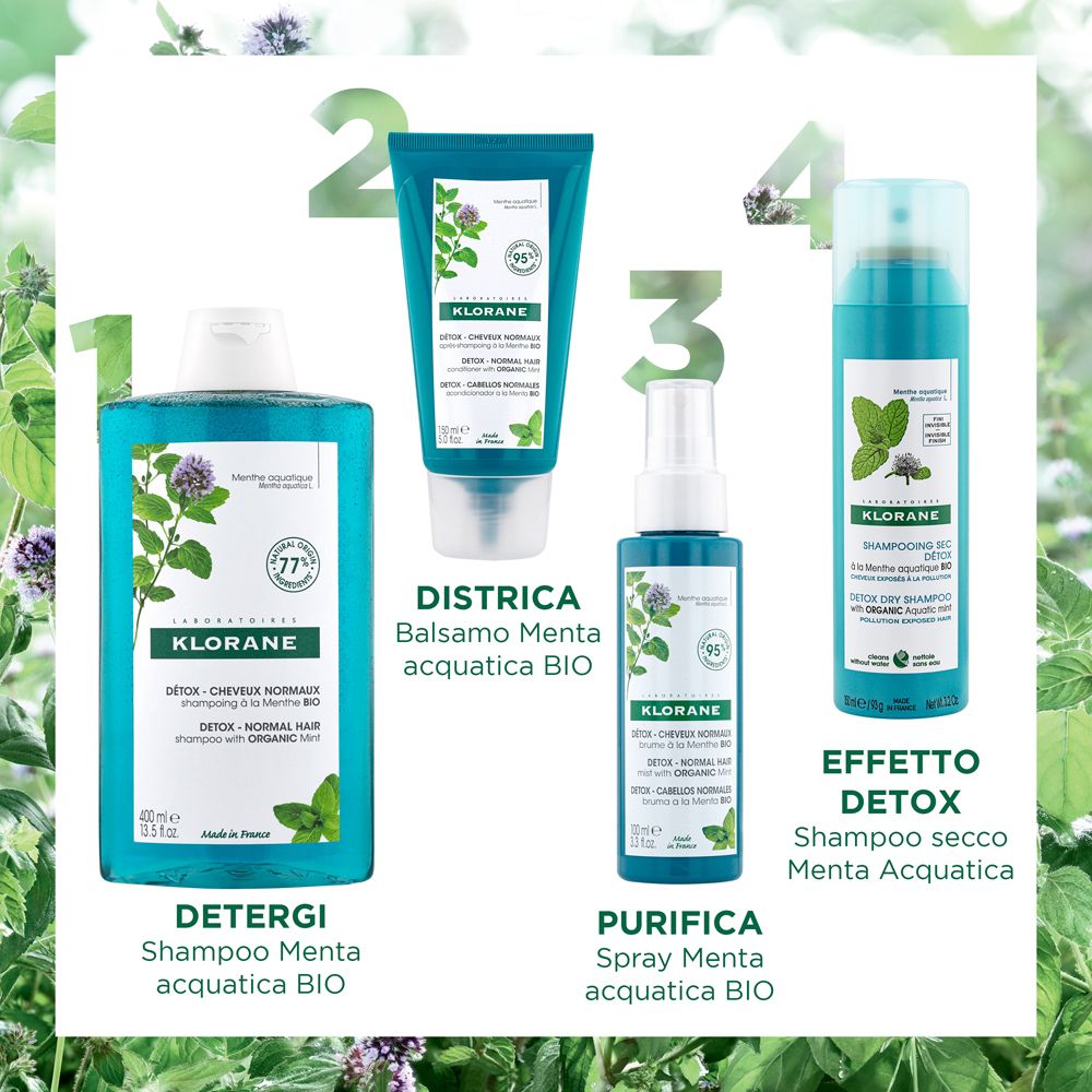 Quattro prodotti: shampoo, balsamo, spray e shampoo secco. Tutti con illustrazioni di menta e nomi dei prodotti.