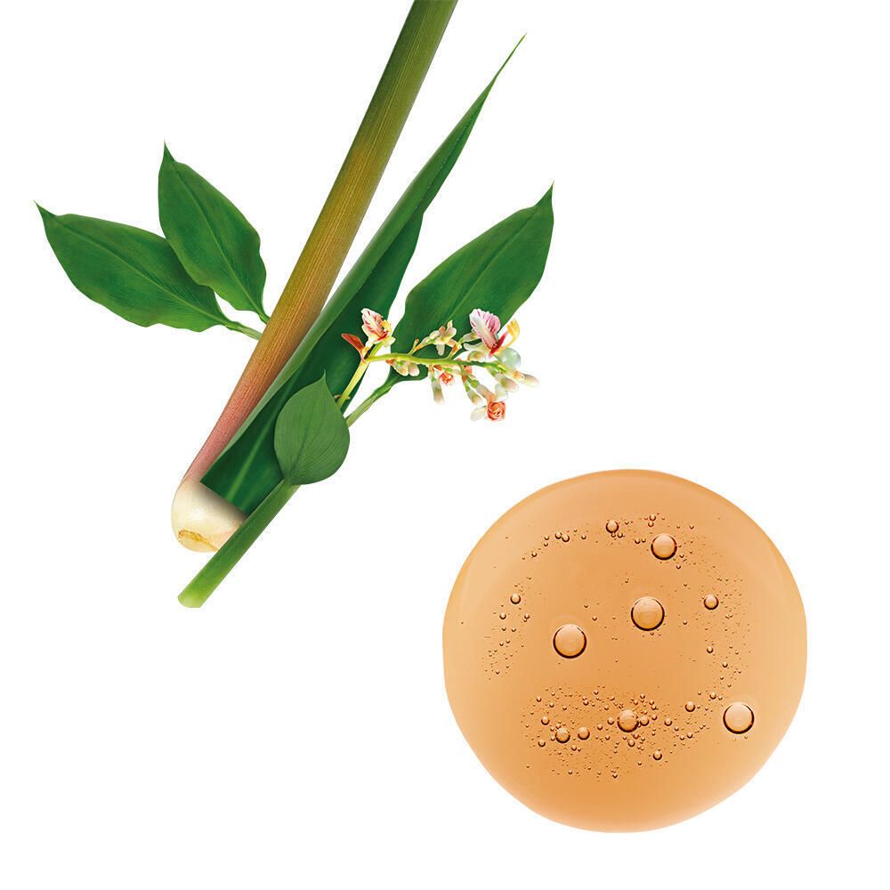 Braune Flüssigkeit mit Blasen. Pflanzenstängel und Blüten.