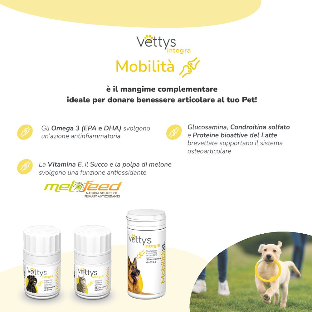 Tre flaconi di compresse. Testo: Vettys Integra Mobilità. Illustrazioni di cani e gatti. Testo sugli ingredienti.
