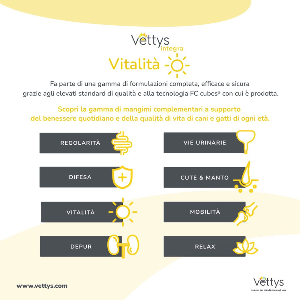 Infografica con i benefici del prodotto. Vettys integra Vitalità. Illustrazioni e testo sui benefici.