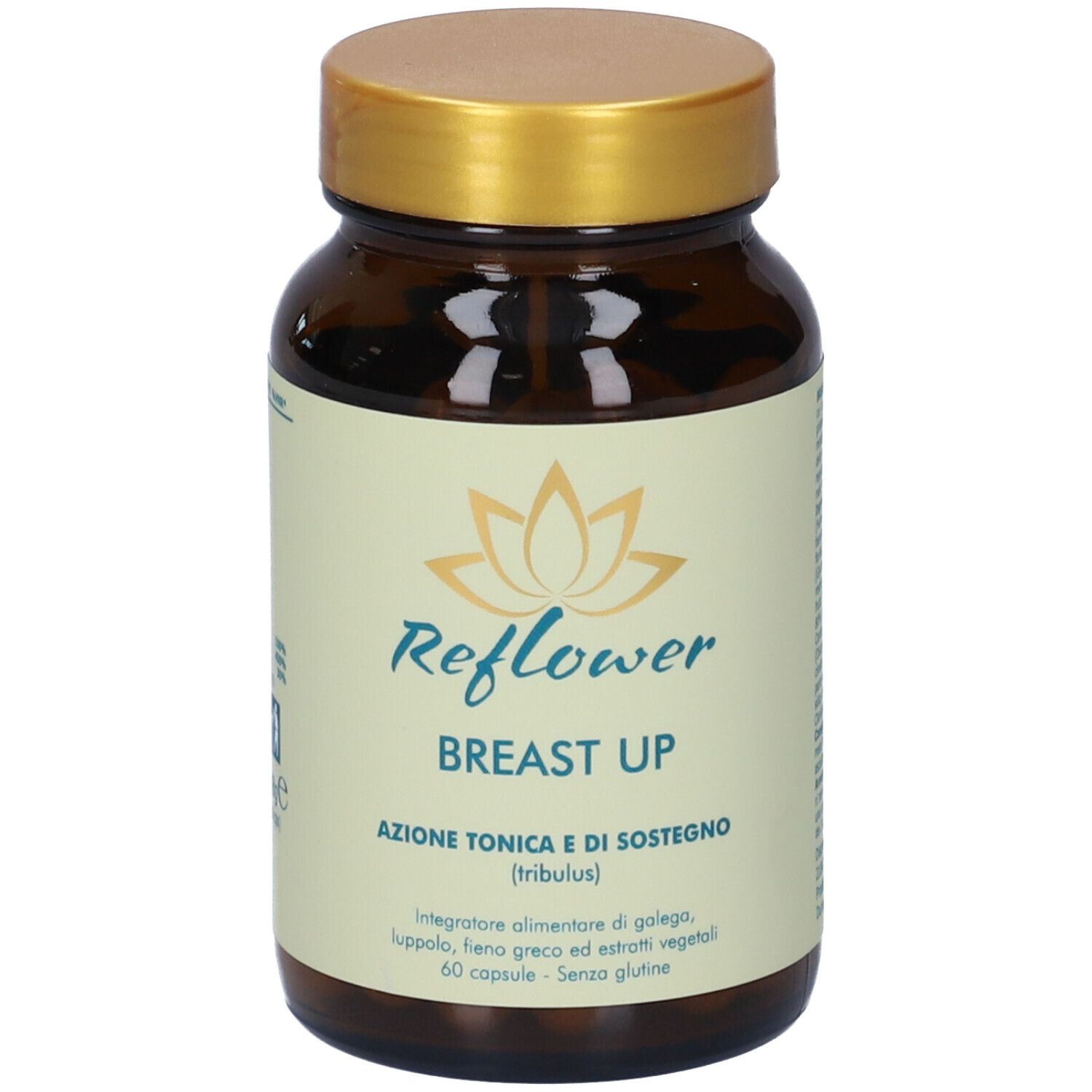 Reflower Breast Up Capsule