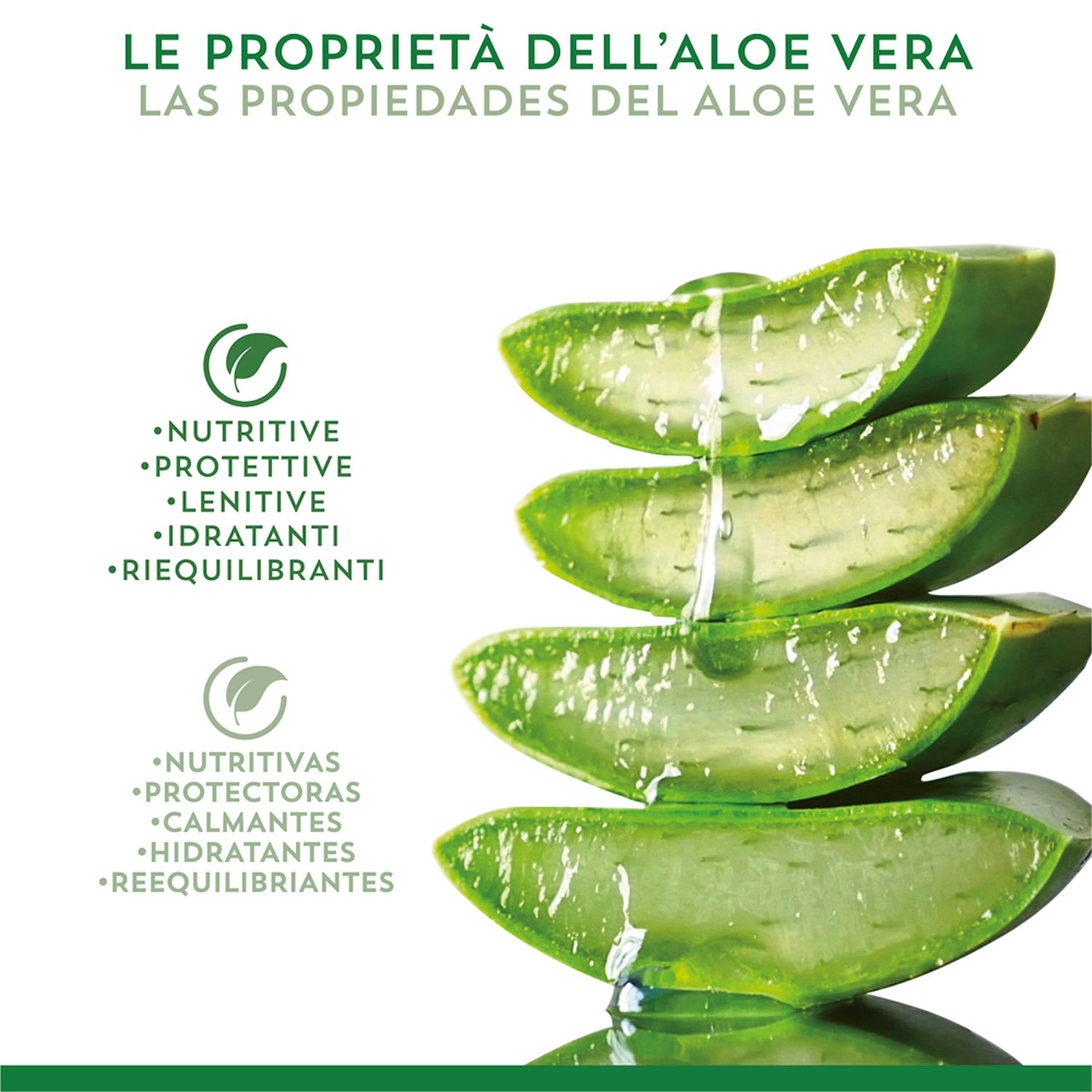 Foglie di aloe vera tagliate a fette. Testo: Nutriente, protettivo, lenitivo, idratante.