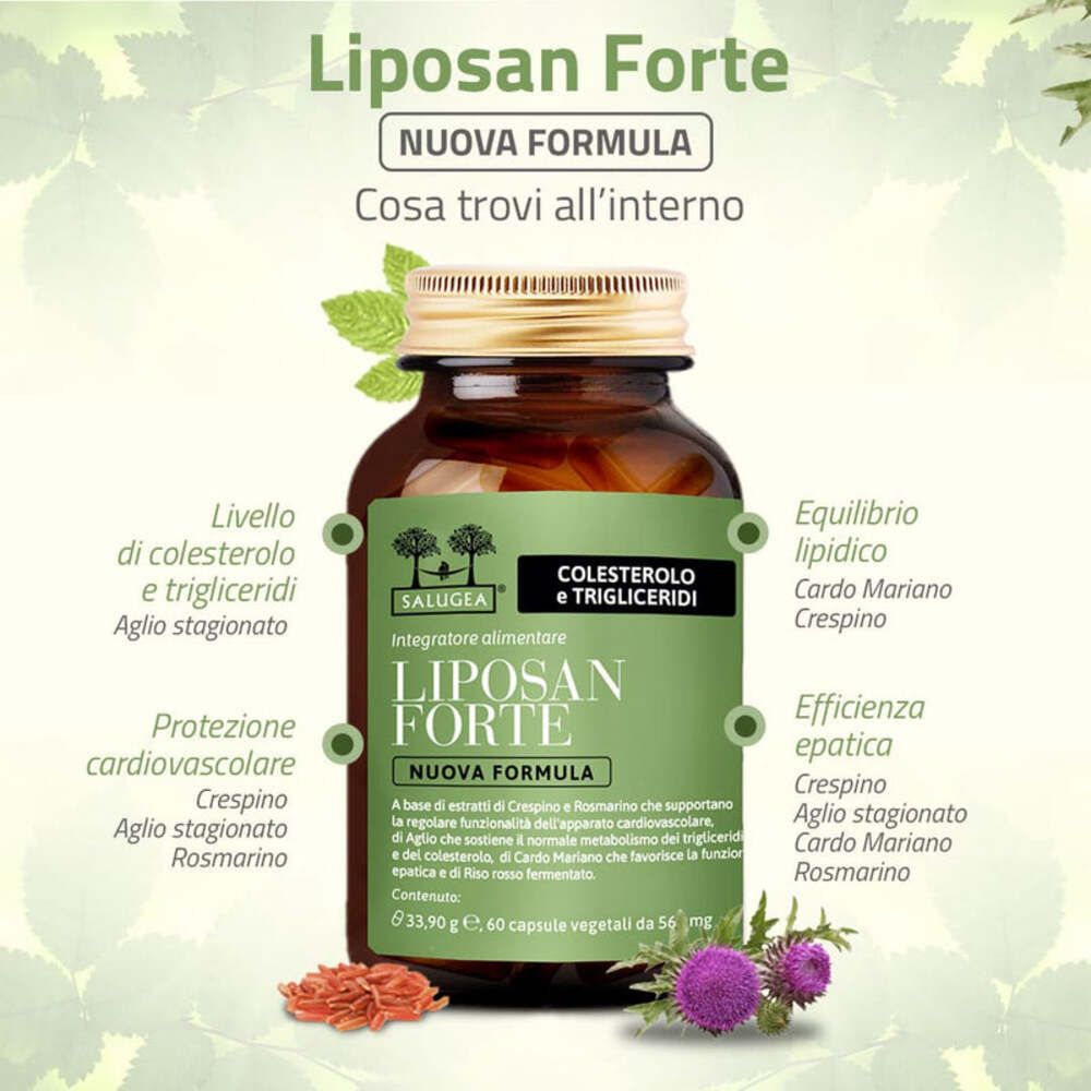Prodotto con testo e icone. Vantaggi: controllo colesterolo, protezione cardiovascolare, funzione epatica, equilibrio lipidico.