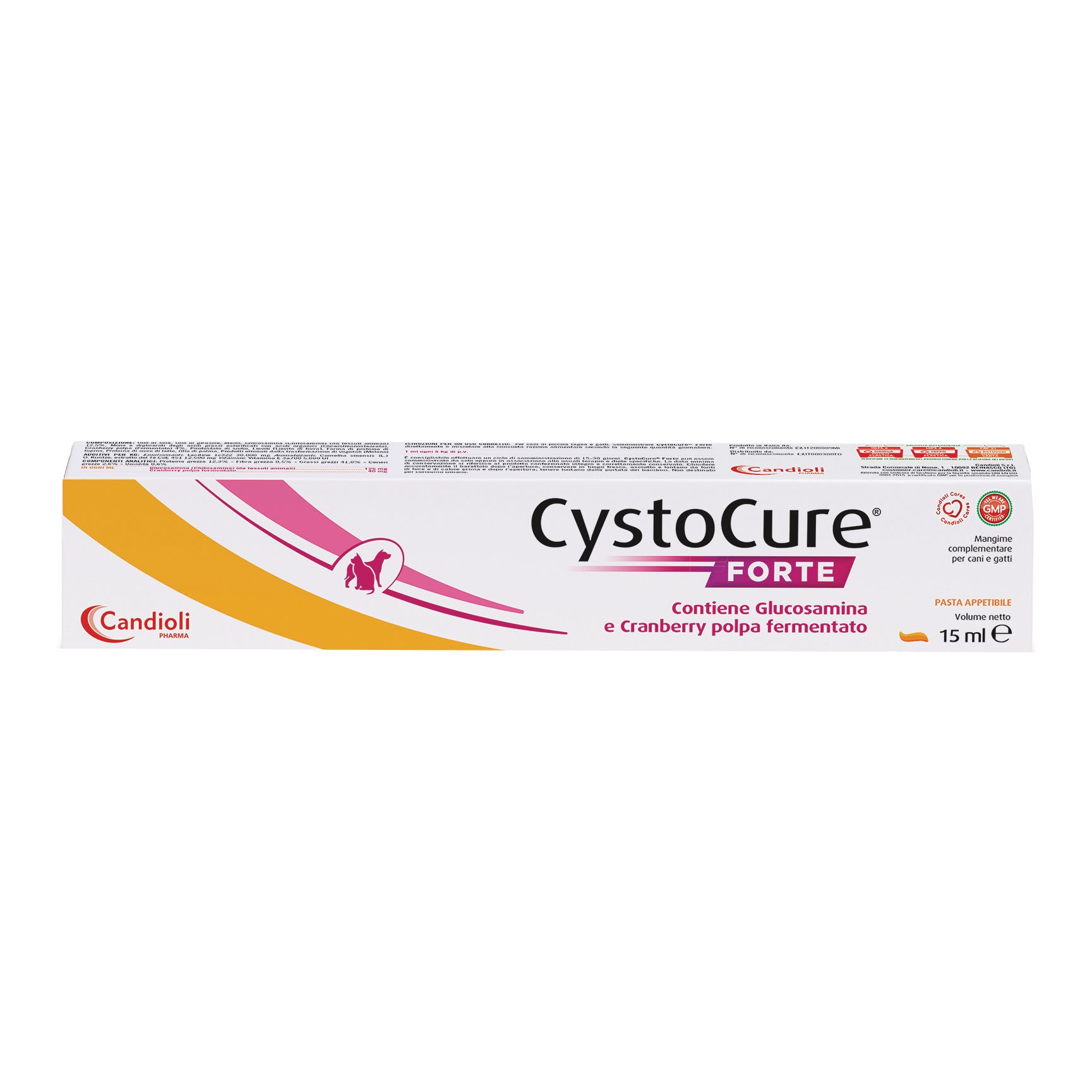 Cystocure Forte Pasta 15Ml 15 ml Paste