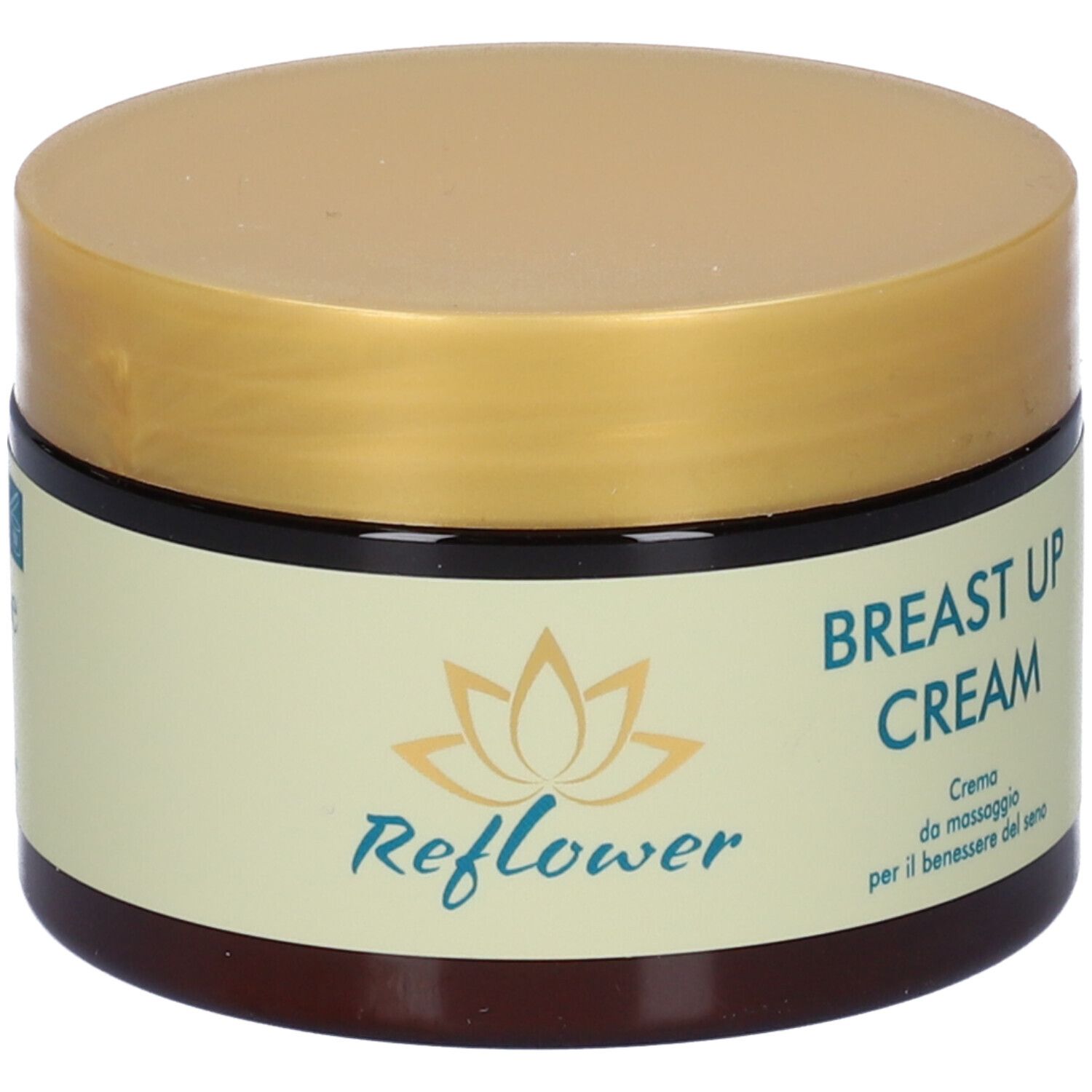 Reflower Breast Up Crema