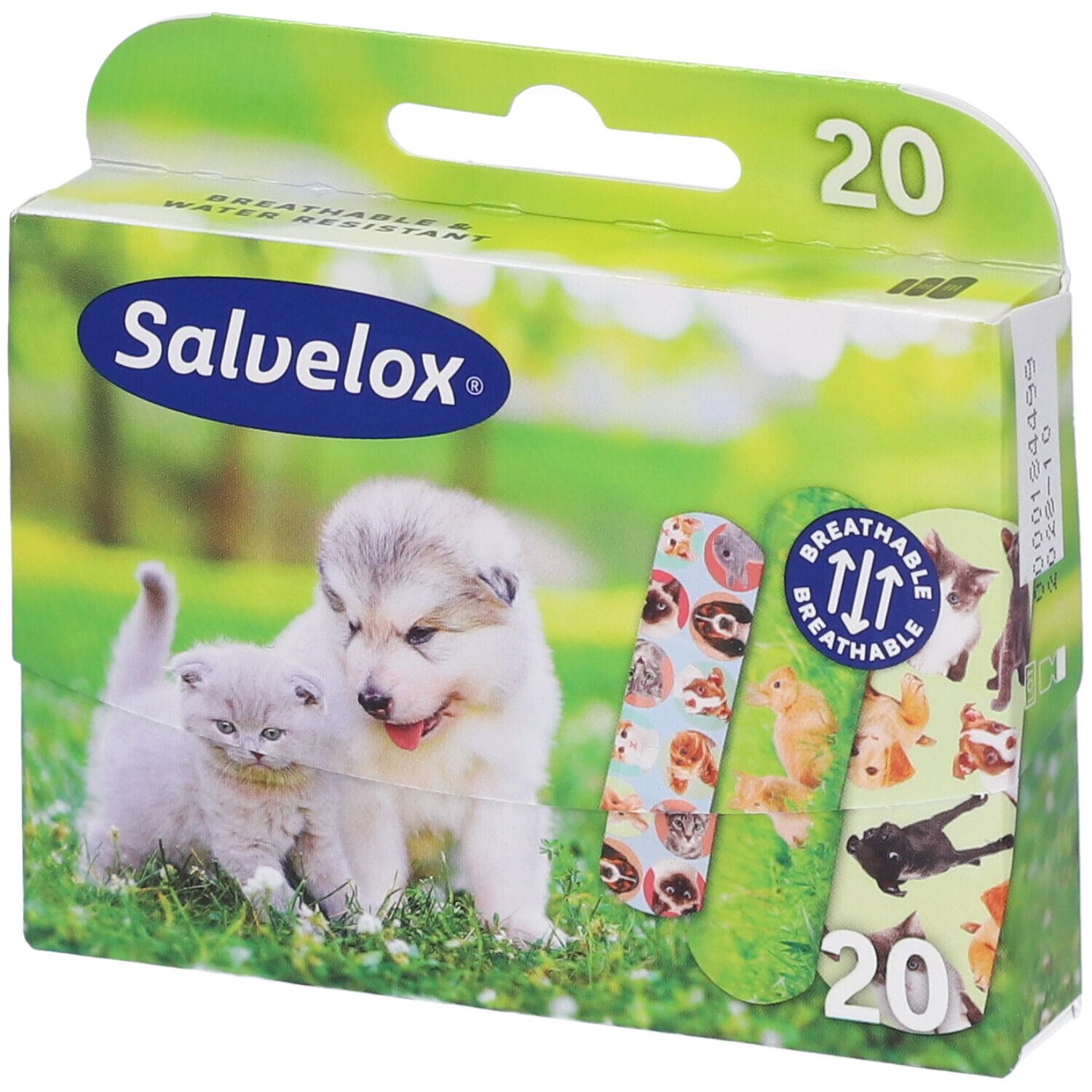 Confezione da 20 cerotti Salvelox. Logo. Immagine di cuccioli e gattini. Cerotti con motivi animali.