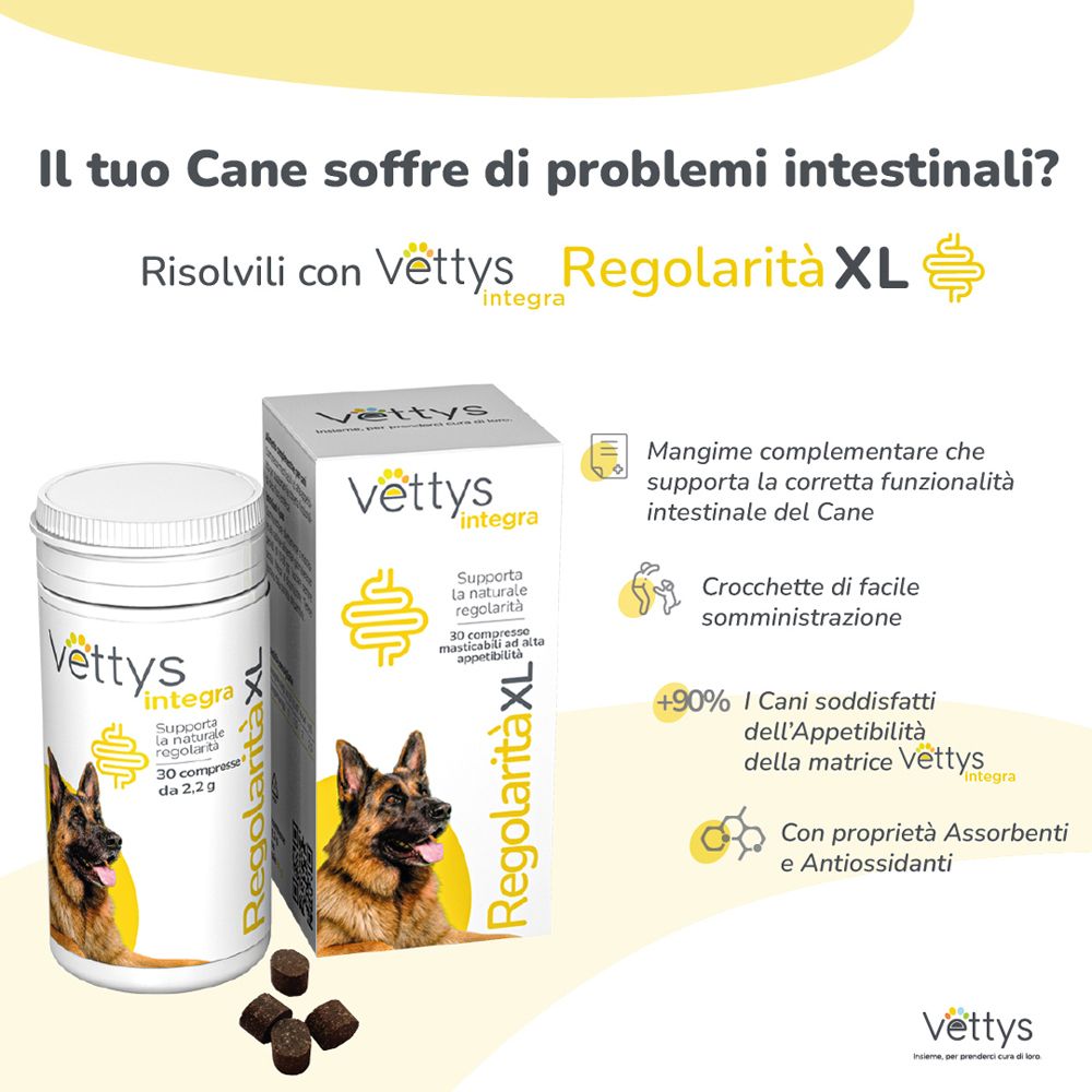 Vettys Integra Regolarità XL, 30 compresse masticabili. Prodotto e confezione con testo e cane.