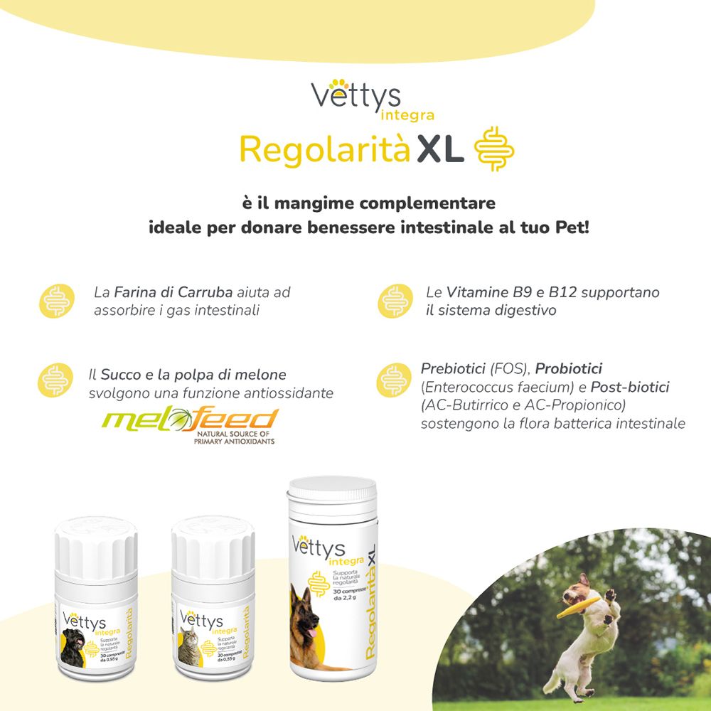 Vettys Integra Regolarità XL, 30 compresse masticabili. Prodotto e confezione con testo e cane.