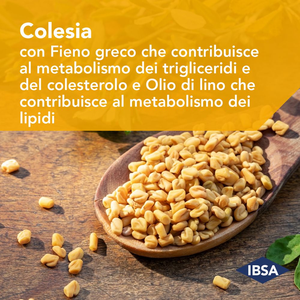 Holzlöffel mit Bockshornkleesamen. IBSA Logo. Text: Colesia con Fieno greco che contribuisce al metabolismo dei trigliceridi e del colesterolo e Olio di lino.
