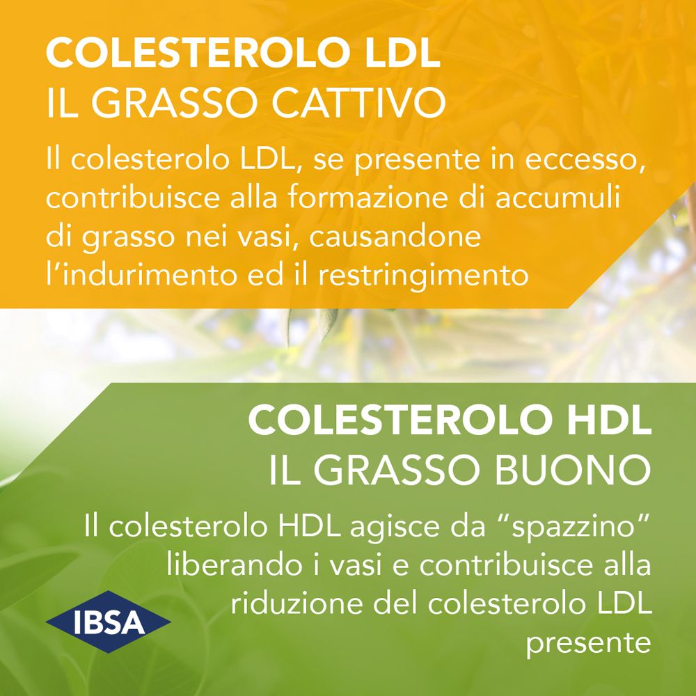 Text über LDL- und HDL-Cholesterin. IBSA Logo.