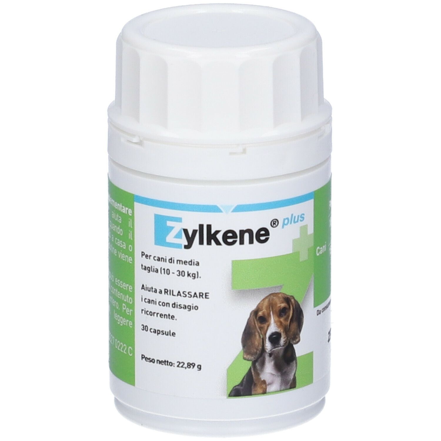 ZYLKENE Plus