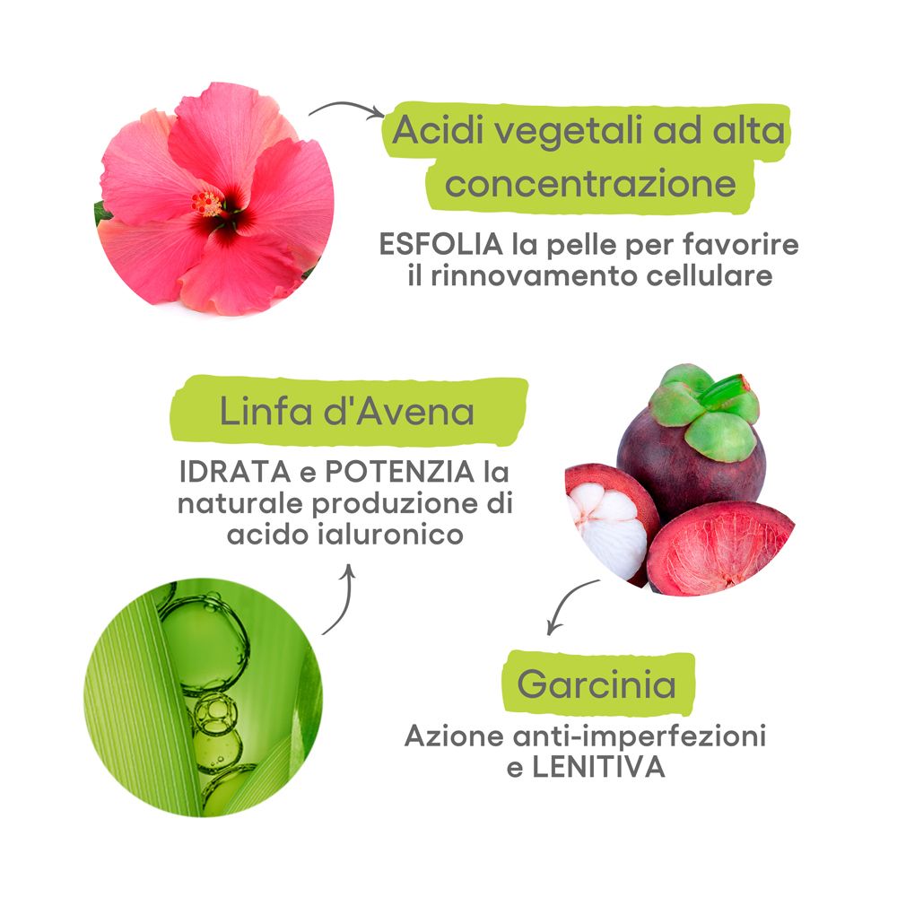 Grafik mit Inhaltsstoffen: Hibiskus, Mangostan, Hafer und Garcinia. Informationen zu deren Wirkung.