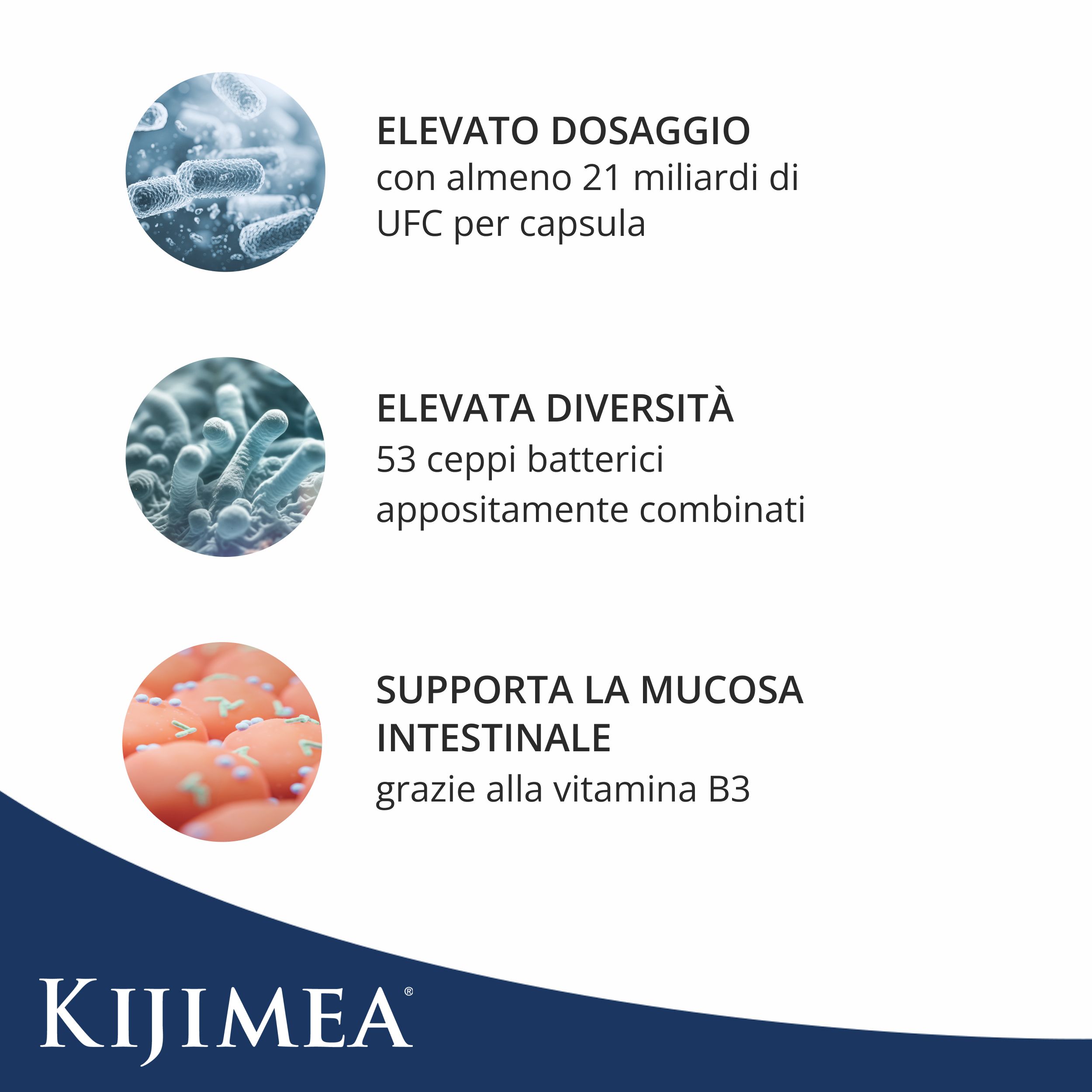 Grafica con tre cerchi. Testi: Alto dosaggio, alta diversità, supporta la mucosa intestinale. Logo Kijimea.