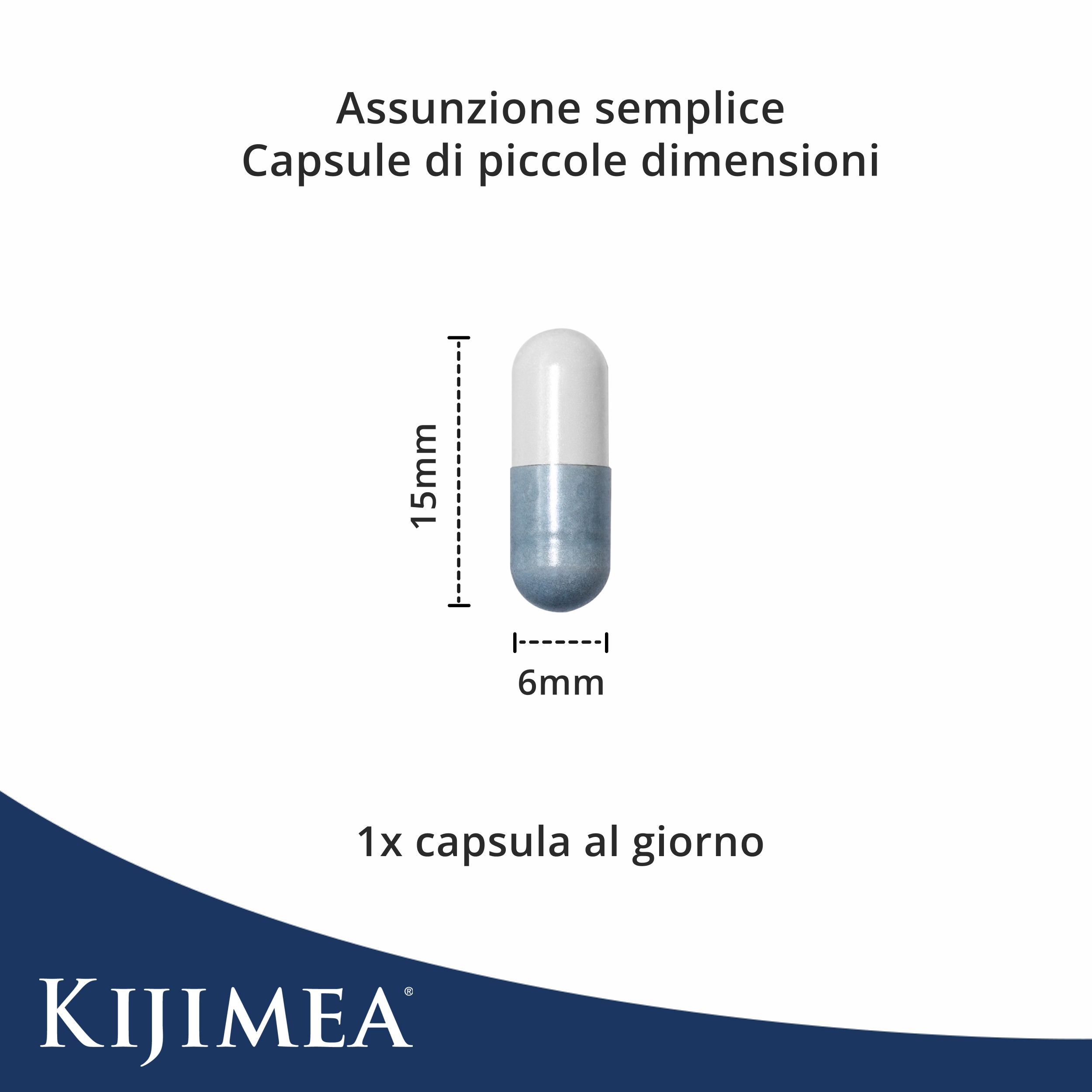 Capsula, blu e bianca, lunga 15mm, larga 6mm. Testo: 1x capsula al giorno. Logo Kijimea.