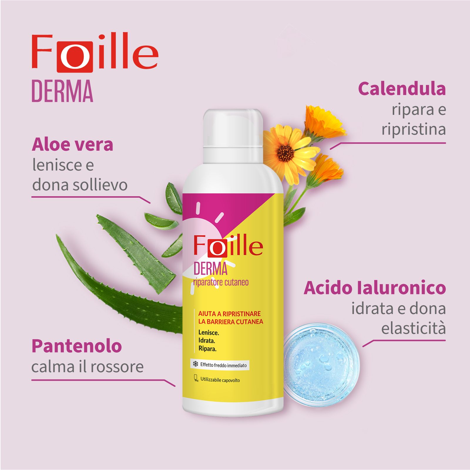 Flasche mit Inhaltsstoffen: Aloe Vera, Calendula, Hyaluronsäure, Panthenol. Text: Foille Derma, Reparatur für die Haut.