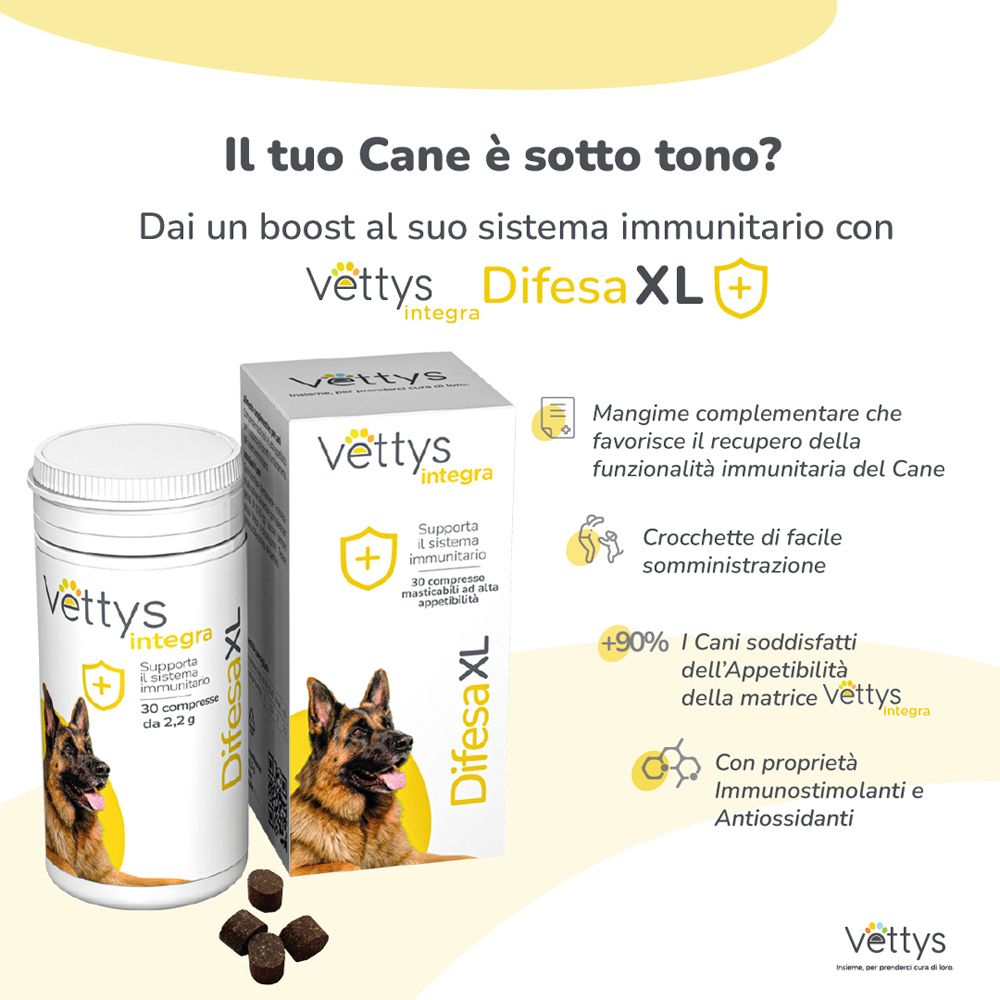 Immagine pubblicitaria con Vettys Integra Difesa XL. Barattolo e confezione con testo e cane. Compresse marroni accanto.