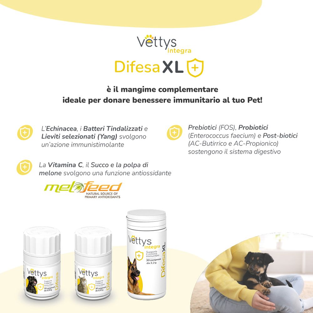 Grafica con Vettys Integra Difesa XL. Tre barattoli, testo e un cane. Informazioni sugli ingredienti.