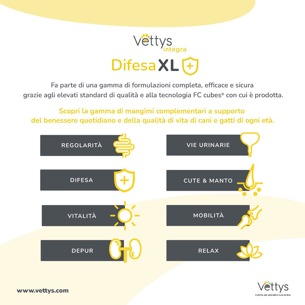 Grafica con Vettys Integra Difesa XL. Illustrazioni dei diversi benefici per la salute dei cani.
