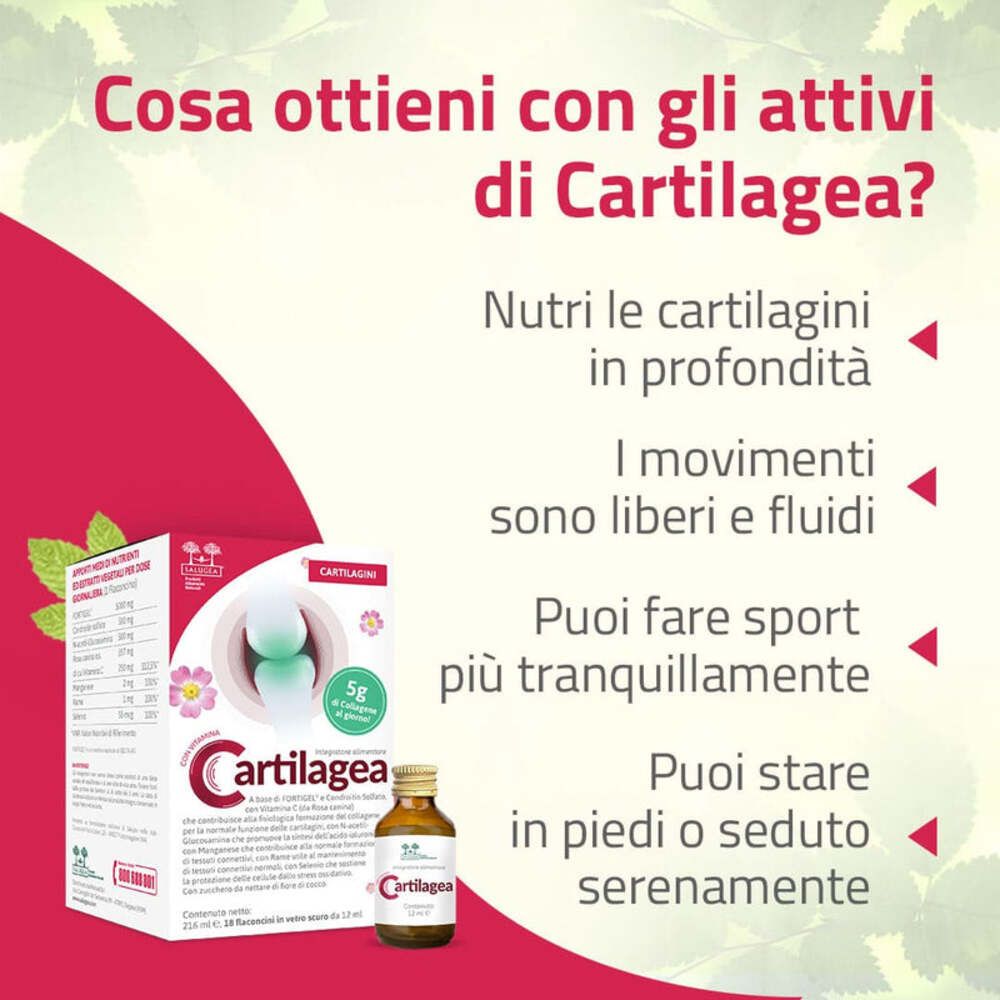 Testo sui benefici di Cartilagea. Favorisce cartilagini sane, mobilità e sport.
