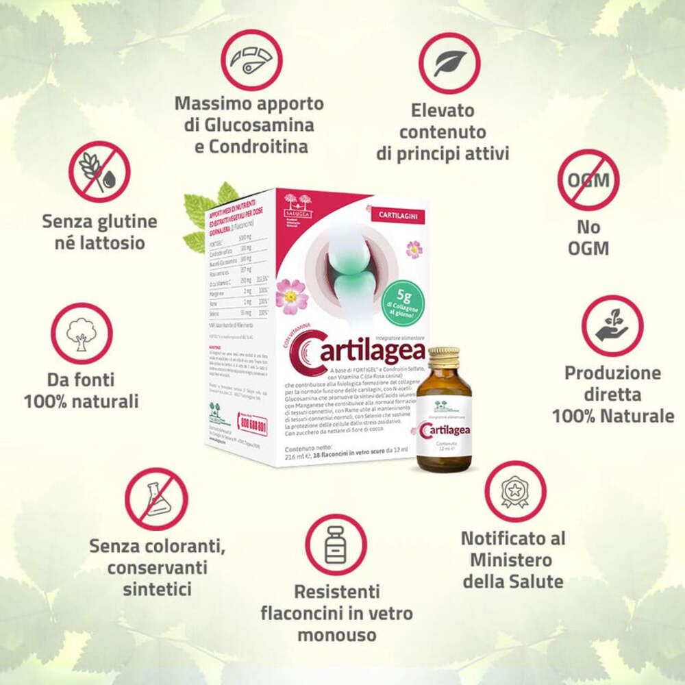 Confezione Cartilagea con loghi. Contiene glucosamina, condroitina, ingredienti naturali, senza OGM.
