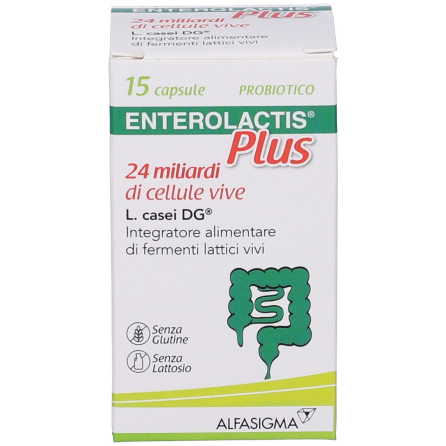 Scatola Enterolactis Plus. Testo: 15 capsule, 24 miliardi di cellule vive, L. casei DG. Senza glutine, senza lattosio.