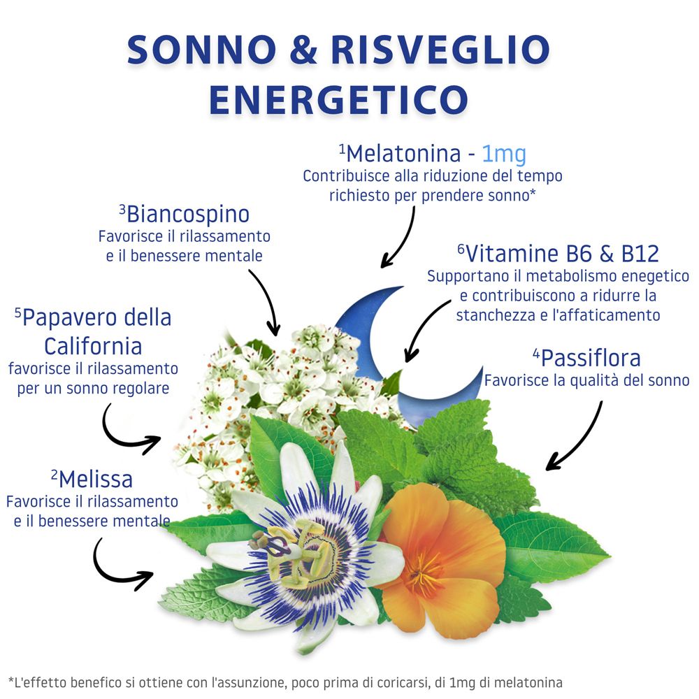 Grafik mit Pflanzen und Text über Inhaltsstoffe wie Melatonin, Weißdorn, Passionsblume, Melisse.