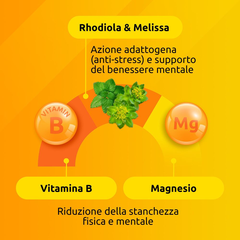 Grafico con vitamina B e magnesio. Testo: Riduzione della stanchezza fisica e mentale.