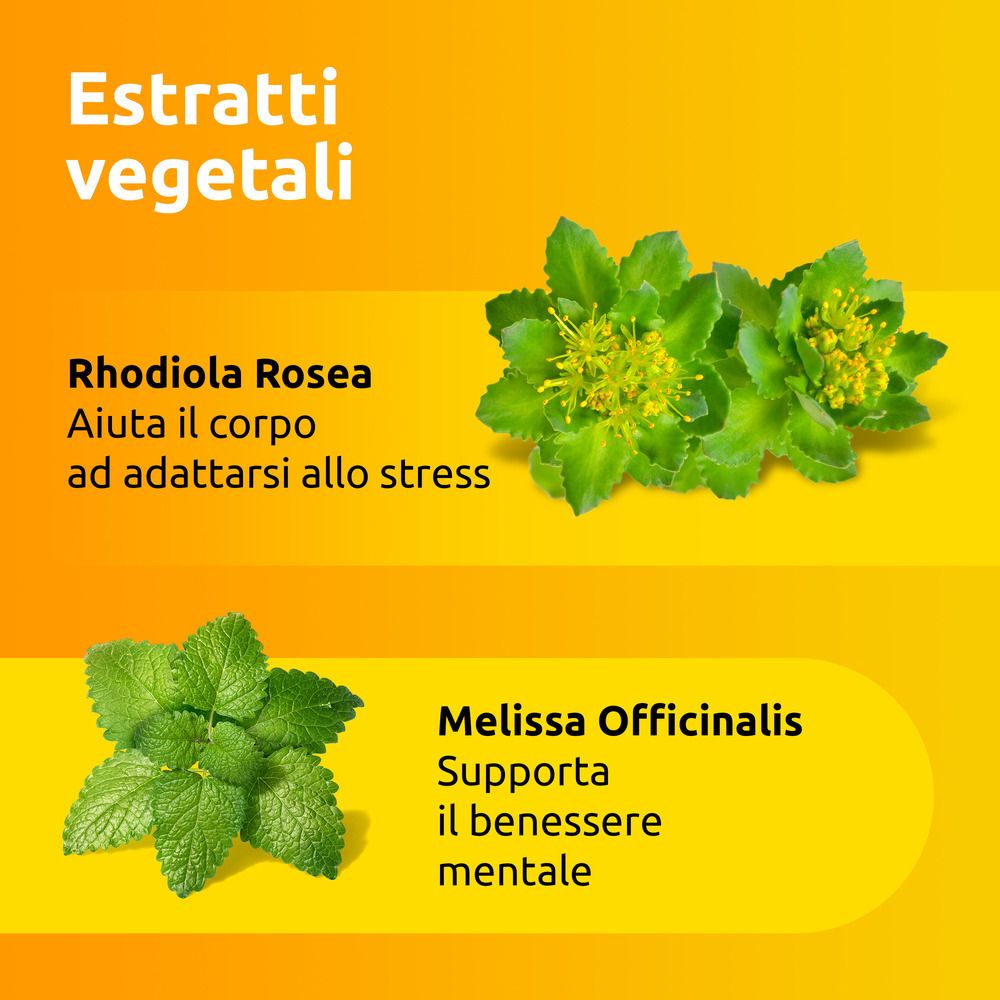 Grafico con estratti vegetali. Rhodiola Rosea e Melissa Officinalis. Testo: Supporta il benessere mentale.